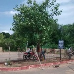 Mannai Railway Station Park - Progress