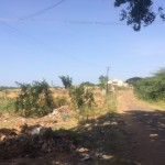 g-r-thoppu-karuvelam-old-new